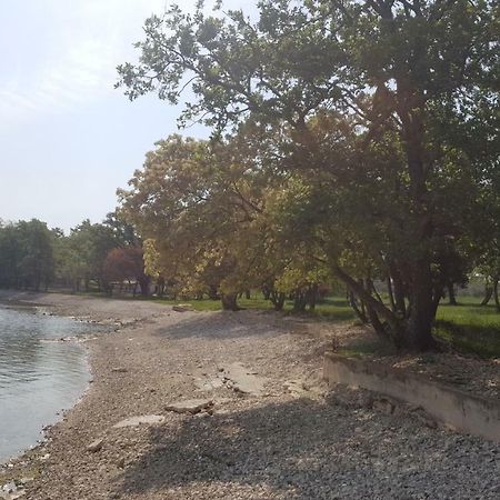 Apartman Garden Poreč Kültér fotó